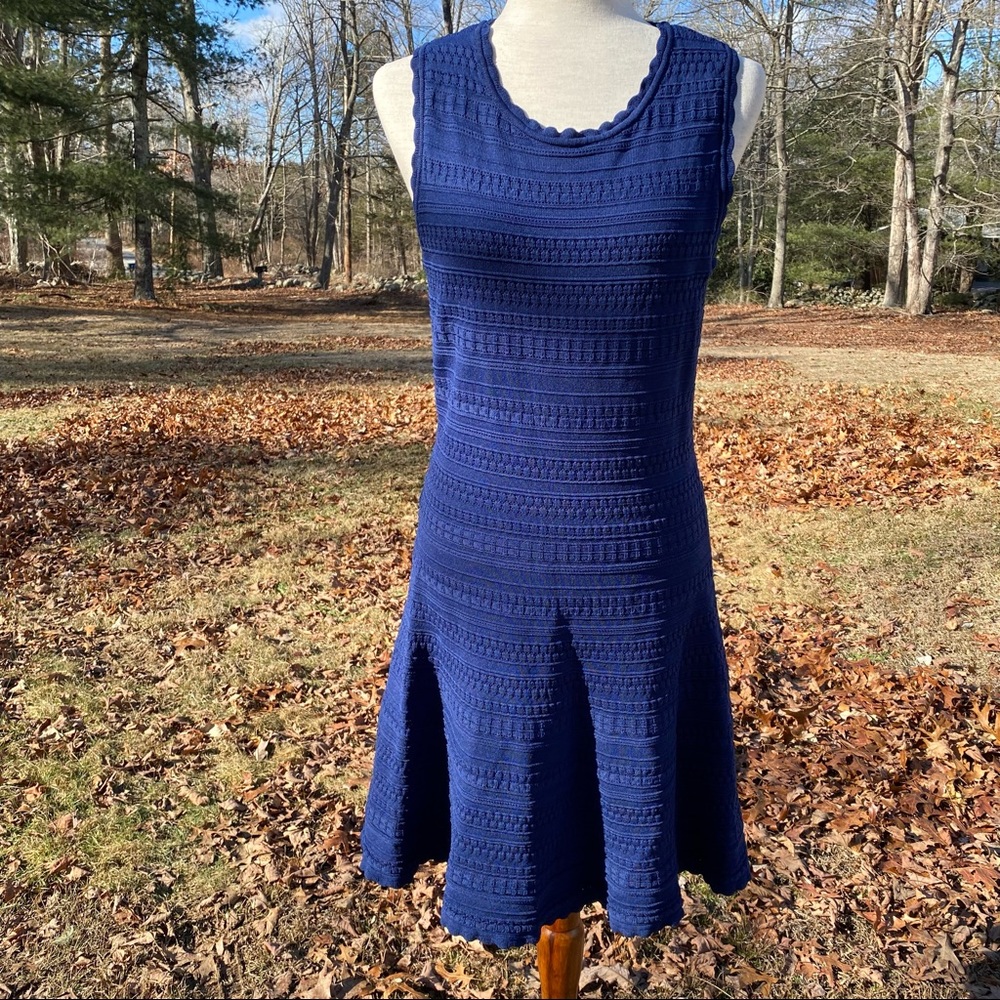 WHITE HOUSE BLACK MARKET DRESS BLUE STRETCH JERSEY TEXTURED FIT AND FLARE SIZE S